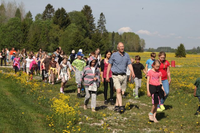 Kehtna Mõisa OÜ karjalaskepäev 20. mai 2014