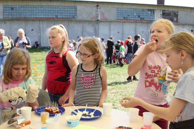 Kehtna Mõisa OÜ karjalaskepäev 20. mai 2014